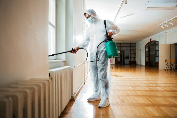 Best Residential Pest Control  in Fountain, CO